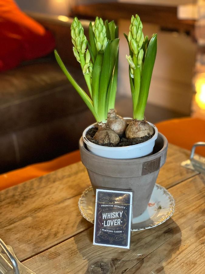 The Walled Garden At Cheshire Boutique Bathhouse 낸트위치 외부 사진